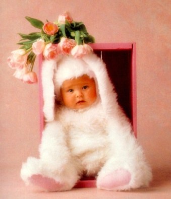 le bb lapin
